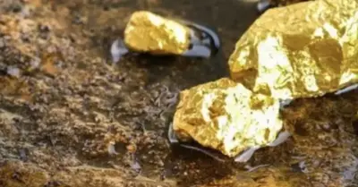 In a California gold mine, tools dating back 40 million years were discovered