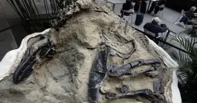 A 120 million year old “dancing dragon” fossil was found in China