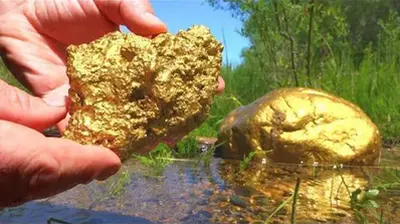 Alaska’s Biggest Gold