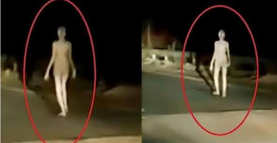 Bizarre alien-like creature filmed walking across a bridge in India