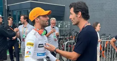 Webber expects year out to feel 'longer' for Ricciardo
