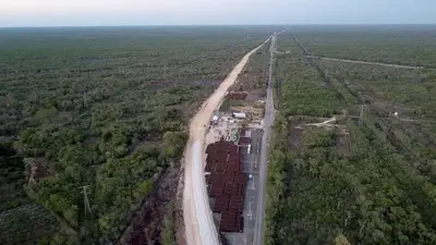 Mexican scientists sound alarm over plan to build railway through pristine jungles