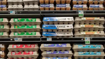 Egg prices reach historic highs amid avian flu outbreak, inflation woes