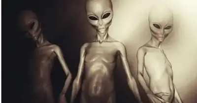 Physicist James Kune is certain that there is at least one country with a society of more than a million aliens on Earth