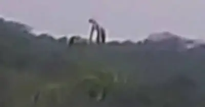 A Mysterious Giant Was Spotted In The Mountains Of Mexico