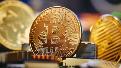 Bitcoin investors take control