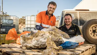 Lucky strike in outback WA could spark ‘mini gold rush’ for prospectors and miners