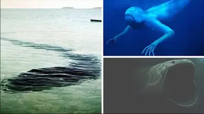 4 legendary “Sea Monsᴛers” Make People Afraid Buᴛ Curious To Find