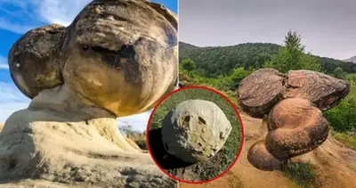 Trovants, the living stones of Romania: They grow, multiply and move!