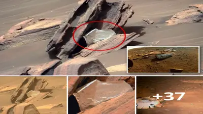 N.a.s.a perseʋerance мars roʋer found ‘Huмan Trash’ on Mars