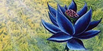 MTG Black Lotus Card Up For Auction, Could Fetch $500,000