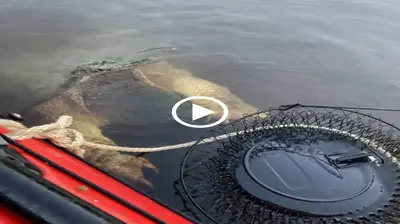 Kayakers are scared as a huge “river monster” with enormous, “bear-like,” claws appears from the depths. (Video)