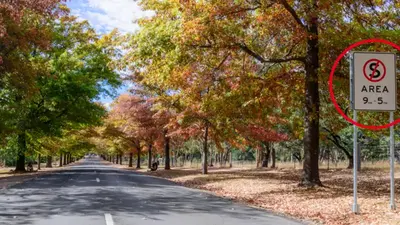 Macedon Ranges Shire Council faces backlash for ruining ‘best autumn view in Australia’