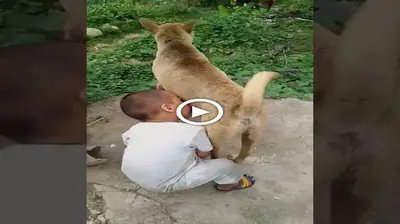 Netizens can’t hold back their tears when they see an orphan boy being forced to drink dog milk because he’s hungry (VIDEO)