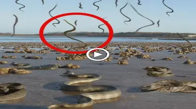 For the first time, the phenomenon of snakes falling from the sky shocked the scientific world: An omen for humanity? (video)