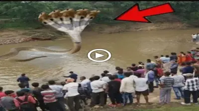 Locals spotted a giant five-headed snake crossing the river chasing a group of people (VIDEO)