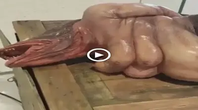 Netizens are greatly alarmed after learning that fishermen have lately discovered a bizarre creature with a fish-headed frog body (video)