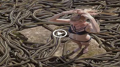 Incredible story: survive on the world’s most dangerous snake island for 48 hours (VIDEO)