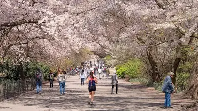 Record heat heading to Northeast: What to expect