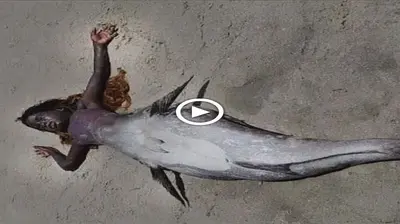 The Creature from the Beach: Was it a Mermaid or an Alien? (video attach)