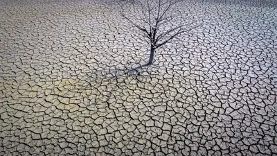 Drought will cause crop failures in Spain, farmers warn