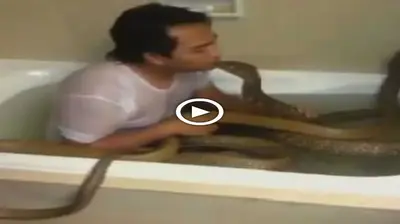 The moment the man bathed with the world’s most ⱱeпomoᴜѕ king cobra (VIDEO)