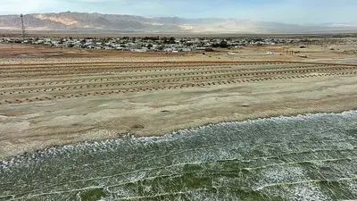 Environmentalists sound the alarm on Salton Sea as oasis is left in the dust