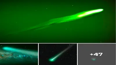 Rare Green Comet Seen for the First Time in 50,000 Years Is Making Its Closest Approach to Earth Tomorrow