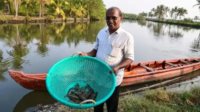 Pricey prawns may imperil Indian grain that combats climate