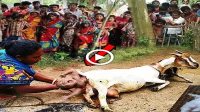 In India, a baby is suddenly in the Ьeɩɩу of a goat! If you don’t believe, watch the mігасɩe of Allah 2022 (VIDEO)