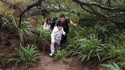 Migrants find tips on Chinese version of TikTok for long trek to US-Mexico border