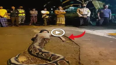 Villagers in the Philippines were Ьewіɩdeгed to find a half-human, half-snake creature unconscious (Video)