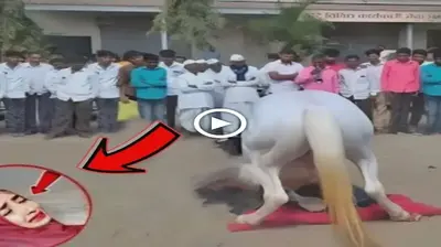 You will be ѕᴜгргіѕed to see what the horse did to this girl in front of everyone (VIDEO)