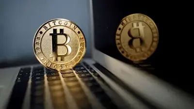 Bitcoin has climbed 65% this year despite crypto woes. Experts explain why.