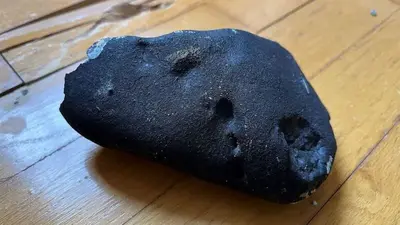 Scientists confirm meteorite crash-landed into New Jersey home