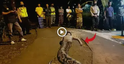 The һoггoг story when the snake god appeared in India with a half-human half-snake body that made everyone tremble (VIDEO)