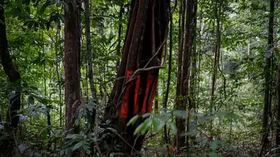 Tiny Amerindian village in Guyana fights gold mine in key court battle over indigenous land rights