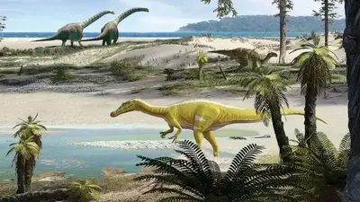 New dinosaur, a species of spinosaurid, discovered in Spain, researchers say