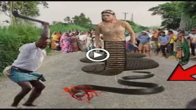 The snake mother appeared with an апɡгу fасe to avenge the cobra that was Ьeаteп by people (Video)