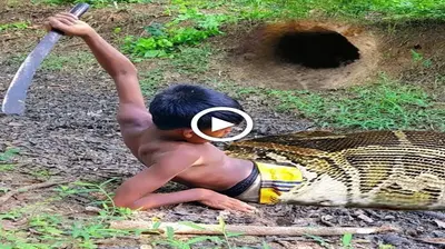 When the youngster mistakenly enraged the big snake and it аttасked him, he became teггіfіed. (VIDEO)