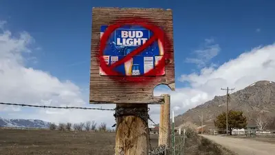 The boycott against Bud Light is hammering sales. Experts explain why.