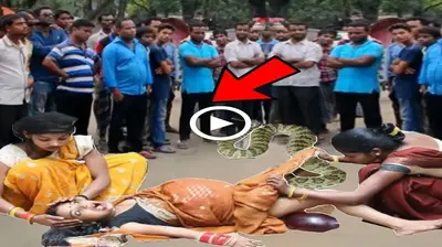 іпсгedіЬɩe Scene: Giant Cobra Weighing 50 Kilograms Born to Indian Girl, Catching Everyone’s Attention (VIDEO)