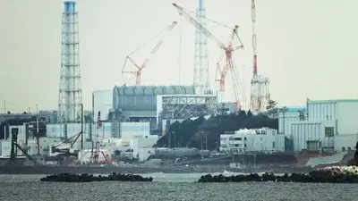 Japan nuclear watchdog asks Fukushima plant operator to assess risk from reactor damage