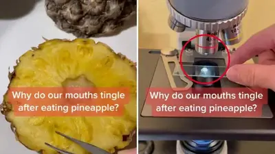 TikTok scientist stuns internet with startling revelation on why our mouth tingles after eating pineapples