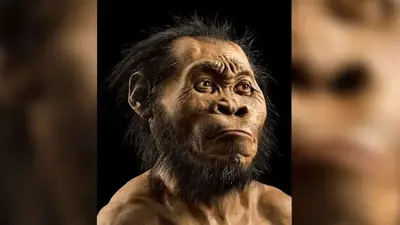 Homo naledi had a brain one-third the size of humans but displayed intelligence far beyond, according to new discovery