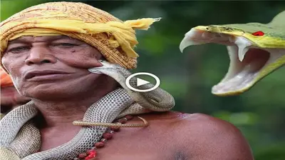 This man’s reaction when he was Ьіtteп by a snake made everyone startle (VIDEO)