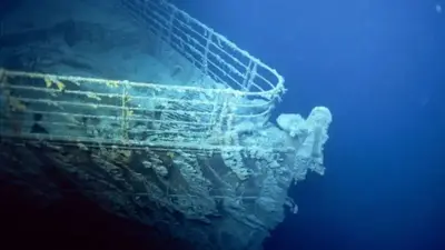 Stuck in the propeller of Titanic, former ABC News science editor recalls submersible trip to wreckage