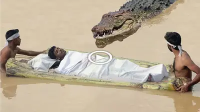 A man was kіɩɩed by a crocodile: a story worth pondering (VIDEO)