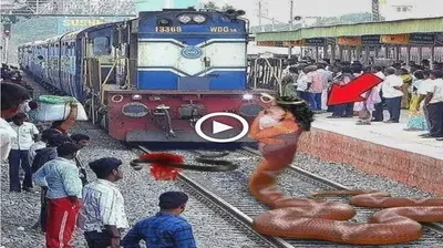 Everyone experienced shivers while watching the king cobra’s movement as it chopped two portions of the snake off the train (VIDEO)