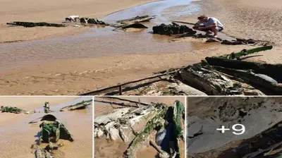 Wow! Wrecked WW2 aircraft discovered on Cleethorpes beach